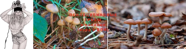 MESCALINE Лихославль