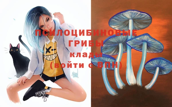 таблы Оленегорск