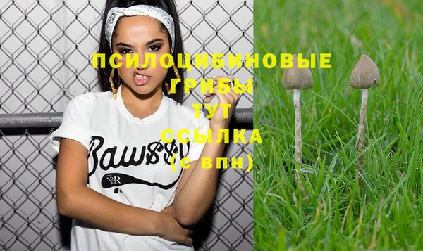 кокс Тавда