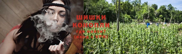 крисы Лиски