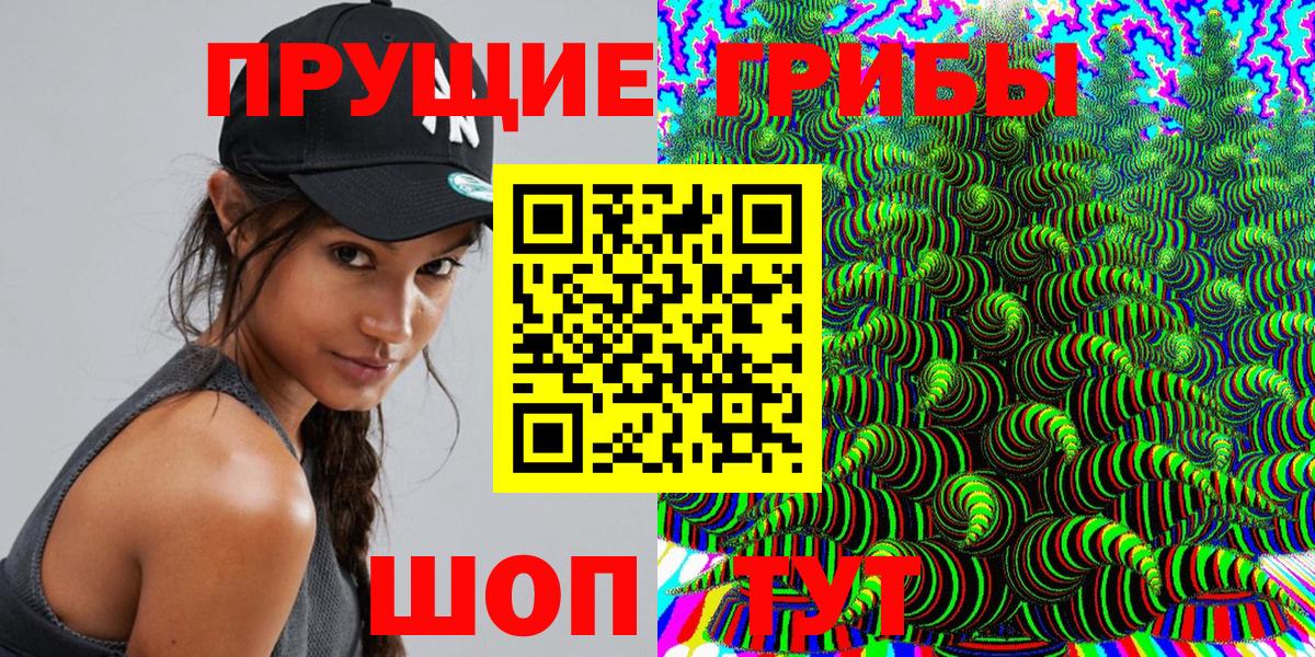 купить  сайты  Ростов-на-Дону  Псилоцибиновые грибы Psilocybe 