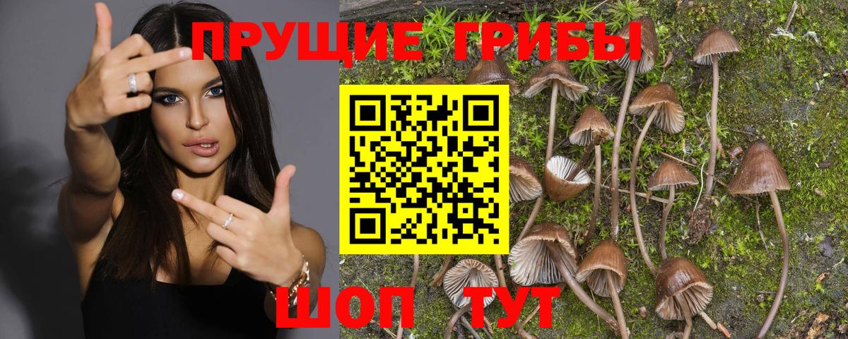 Псилоцибиновые грибы MAGIC MUSHROOMS  Псилоцибиновые грибы мицелий  Вход с VPN  Ростов-на-Дону 