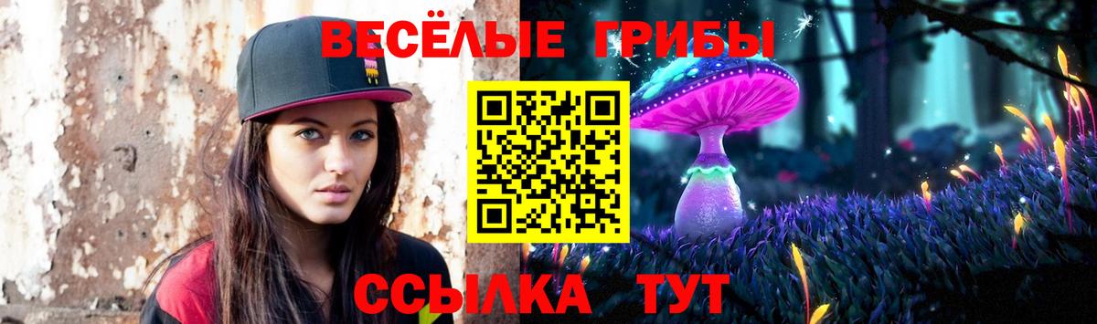 Псилоцибиновые грибы мицелий Ростов-на-Дону